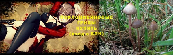 мяу мяу мука Богородицк